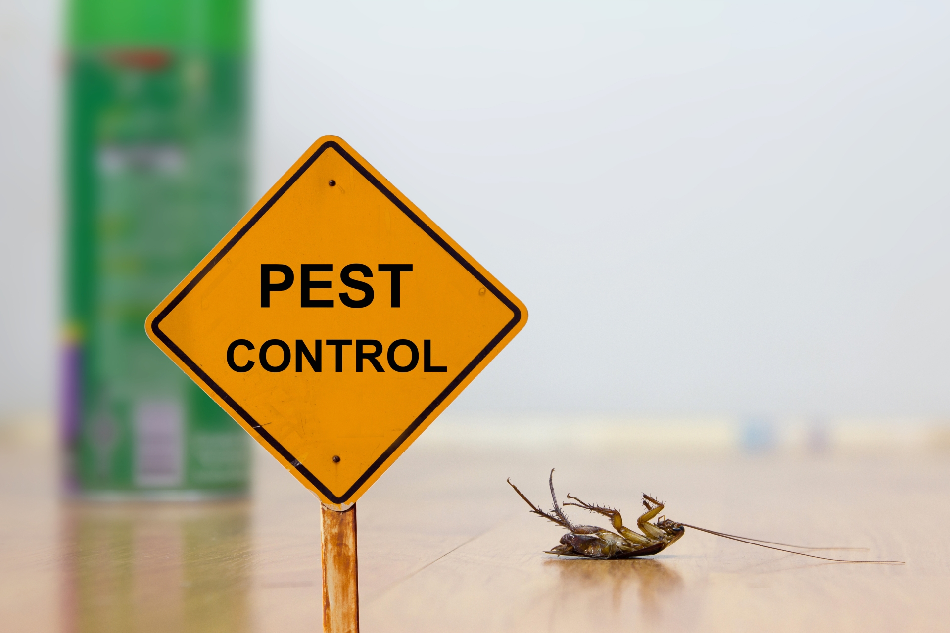 24 Hour Pest Control, Pest Control in Hampton Wick, Norbiton, KT1. Call Now 020 8166 9746