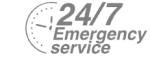 24/7 Emergency Service Pest Control in Hampton Wick, Norbiton, KT1. Call Now! 020 8166 9746