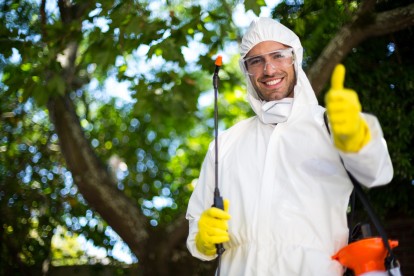 Electronic Pest Control, Pest Control in Hampton Wick, Norbiton, KT1. Call Now 020 8166 9746